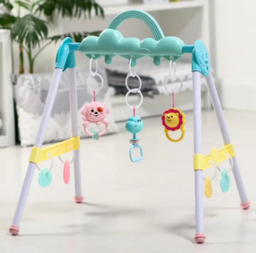Mobile Play Gym